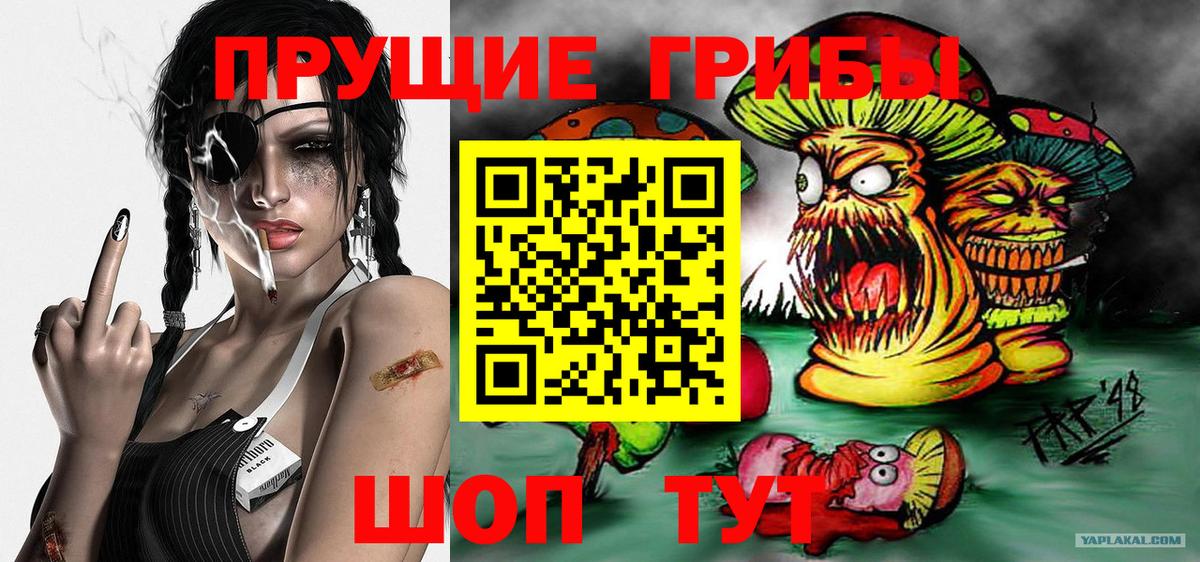 Псилоцибиновые грибы ЛСД  Галлюциногенные грибы GOLDEN TEACHER  Павлово  Вход с VPN 