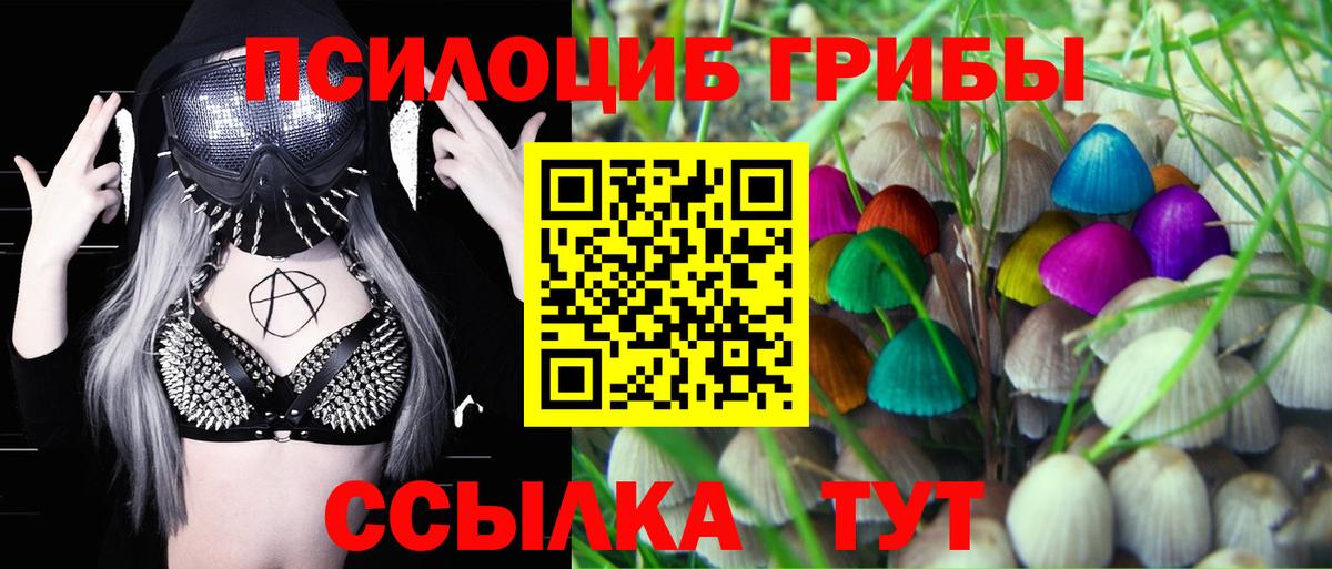 Псилоцибиновые грибы мухоморы Павлово